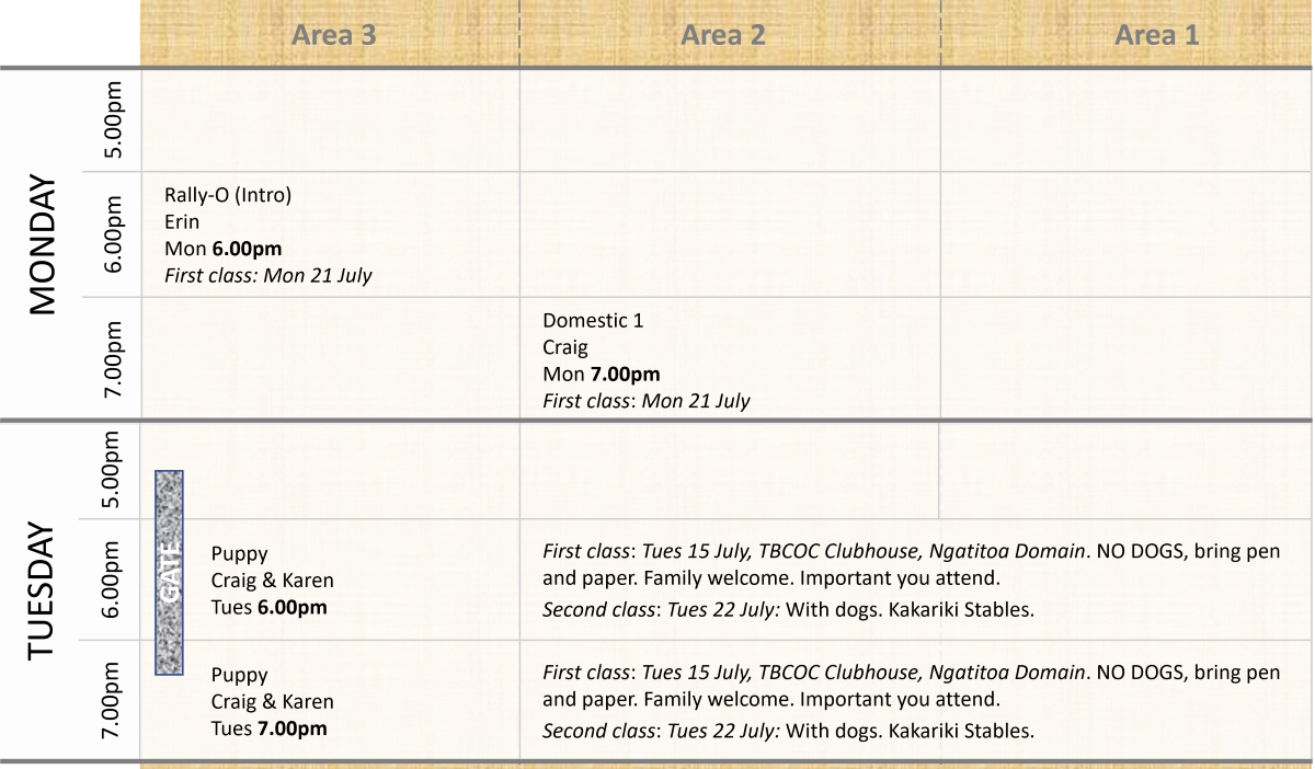 Term 3 2025 class schedule